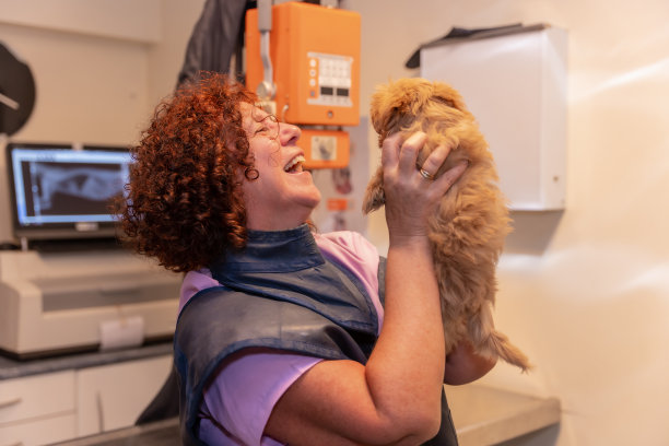 兽医诊所，兽医主人和小狗微笑的肖像图片下载