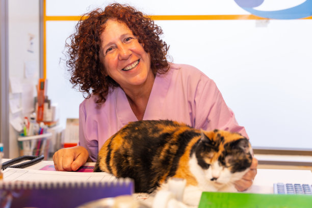 兽医诊所的女主任在诊所的桌子旁坐着一只漂亮的猫图片下载
