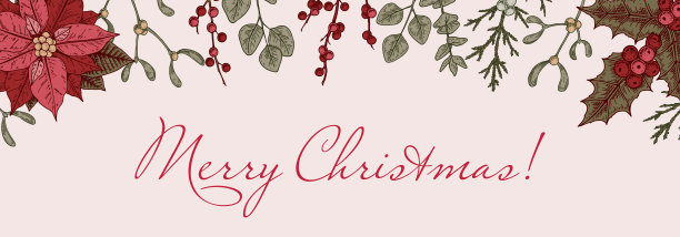 圣诞快乐和新年快乐横向贺卡手绘一品红花和槲寄生早午餐。节日色彩斑斓的背景。矢量插图素描风格图片下载
