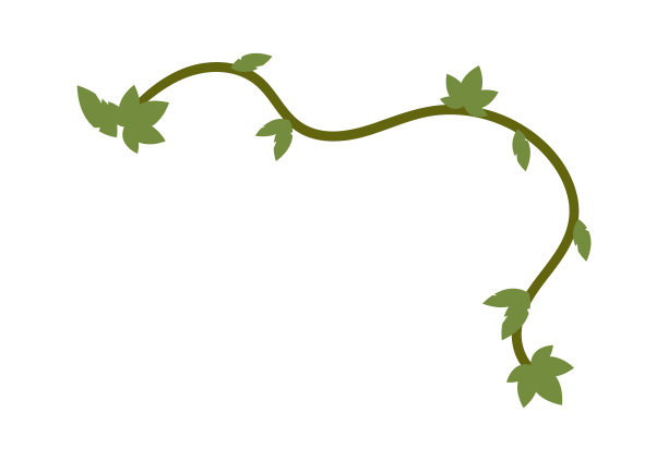 手绘藤蔓丛林矢量插图图片下载