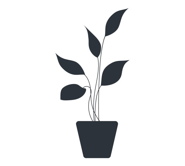 装饰黑色植物长叶陶瓷花盆，花盆与室内植物。室内植物图片下载