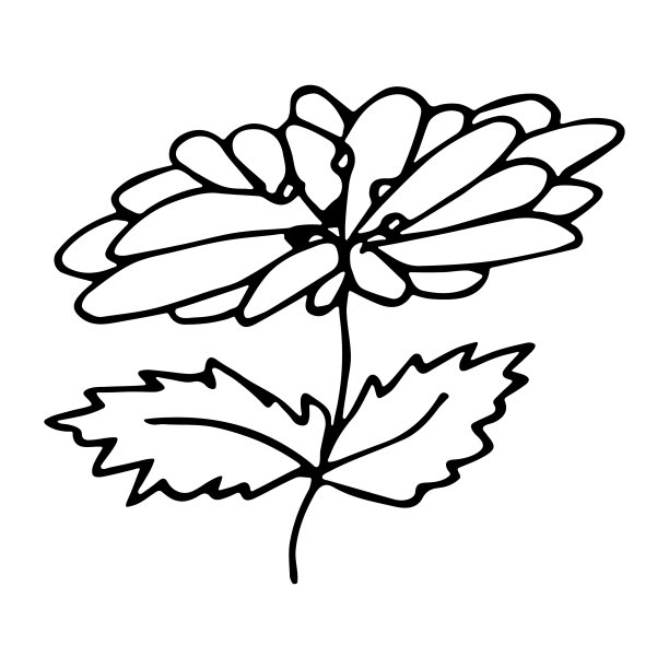 花涂鸦。手绘花卉剪贴画。图片下载