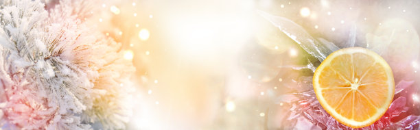 圣诞宽旗。冬天大气的心情。圣诞树的树枝上覆盖着雪花。新年快乐。圣诞假期网页横幅与复制空间。图片下载