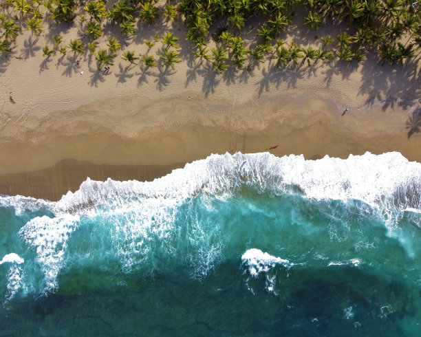 阳光明媚的日子，被绿色植物包围的大海和海滩的航拍照片图片下载