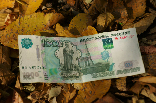 秋叶背景上的俄罗斯卢布。图片下载