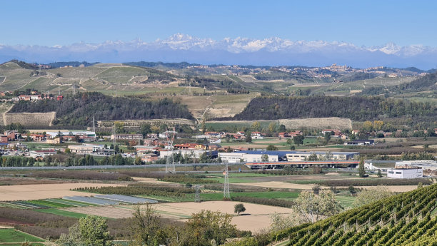 秋天的葡萄园图片下载