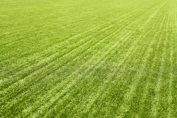绿色的草坪为背景，新鲜的足球草坪图片下载