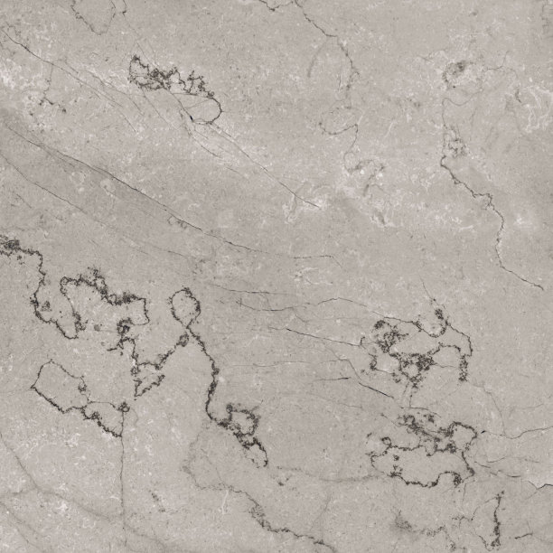 灰色瓷砖与天然深色藤蔓高分辨率大理石图片下载
