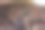 半沙漠中生长的树根的特写镜头图片下载