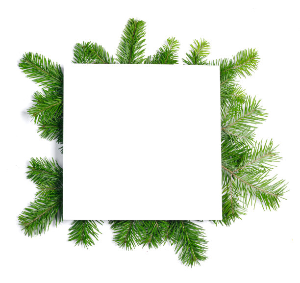 圣诞边沿的冷杉树枝图片下载