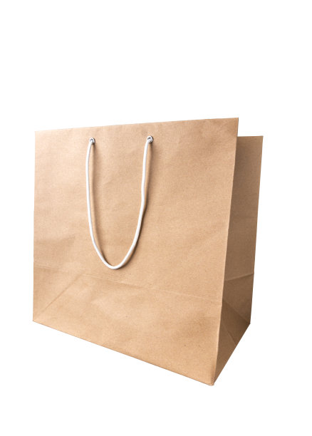 棕色纸袋与空白空白的设计模型隔离在白色背景。剪切路径。为广告。图片下载