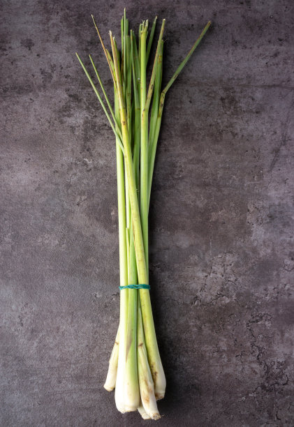 深色背景上的新鲜柠檬草。芳香药草。Tradicional药。用于气味驱避的草本植物。前视图。图片下载