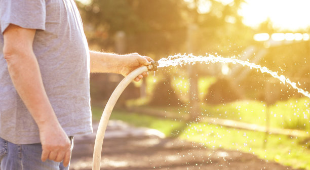园丁在旱季、夏季、全球变暖、园艺概念期间给花园或蔬菜浇水图片下载
