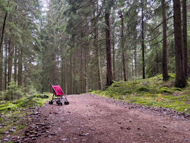 婴儿推车在大自然的小路上图片下载