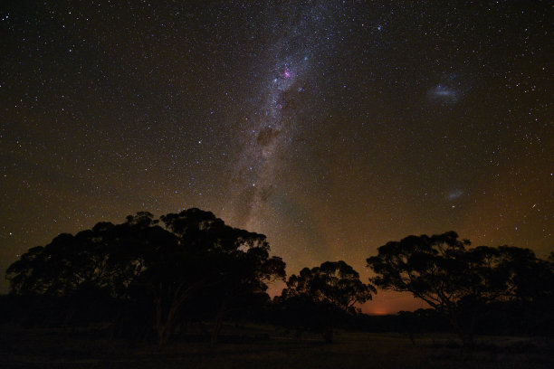 星系从树上升起图片下载