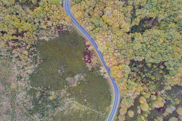 秋天的山路鸟瞰图图片下载