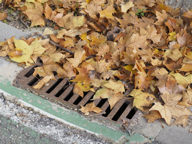 在秋天的雨后堵塞城市的街道排水沟。图片下载