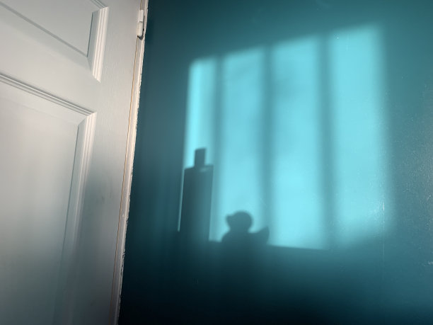 一个橡皮鸭和洗发水的影子。图片下载