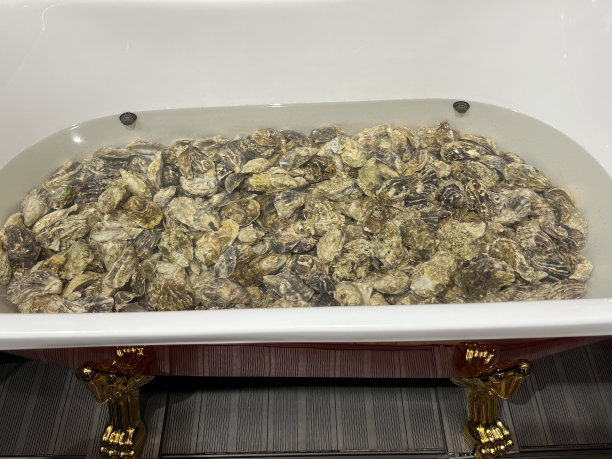 浴室里的牡蛎图片下载