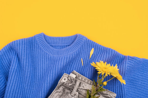 蓝色毛衣上的黄色菊花，黄色背景上的灰色牛仔裤。妇女节、3月8日、生日、情人节概念。有花的羊毛衫。俯视图，平铺图片下载