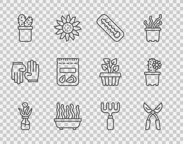 在玻璃瓶园艺中设置线花图片下载