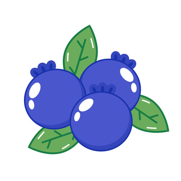 蓝莓向量。白色背景的蓝莓。的象征。标志设计。图片下载