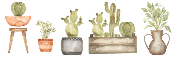 水彩手绘插画与仙人掌和室内花。绿色植物插图。可爱的花盆。图片下载