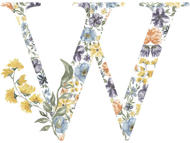 野花W字母剪纸，开花字母设计。水彩花字母组合插图孤立在白色背景。图片下载