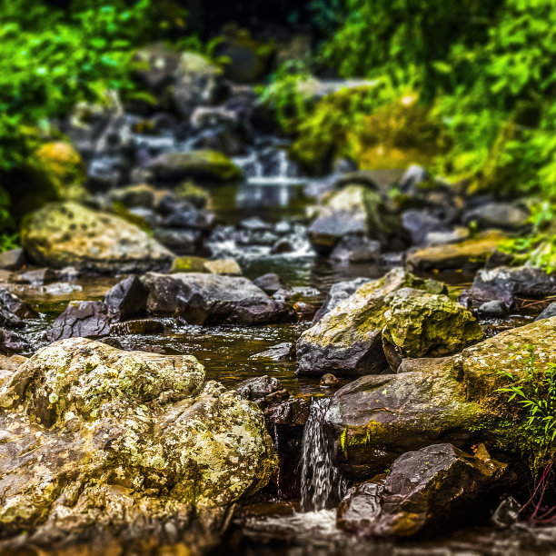 山上的河流图片下载