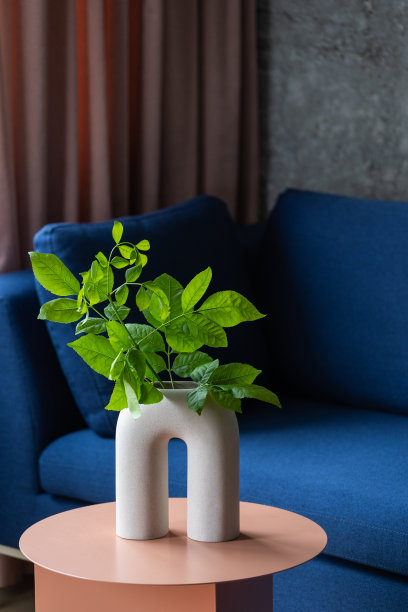 客厅现代餐桌上的叶枝陶瓷花瓶图片下载