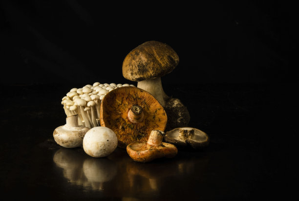 黑色背景下不同种类的蘑菇图片下载