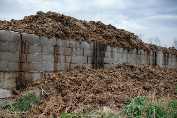 把动物粪便堆在农家院子里图片下载