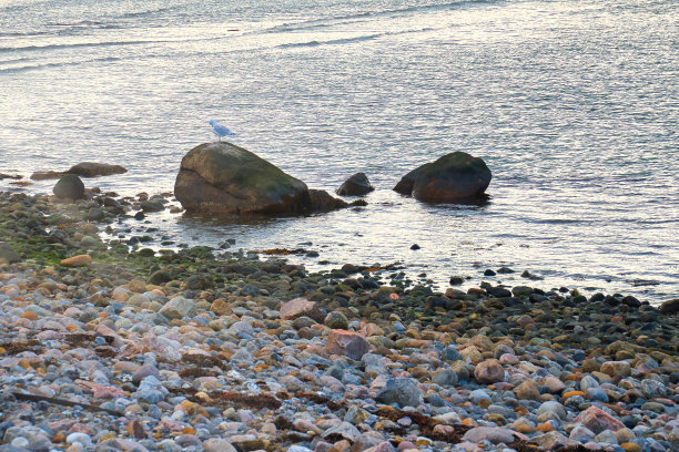 丹麦的石滩上有大石头和海鸥。从海上拍摄的风景照片图片下载