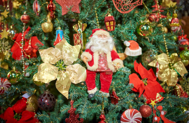 阁楼公寓客厅里的圣诞树，库存照片图片下载