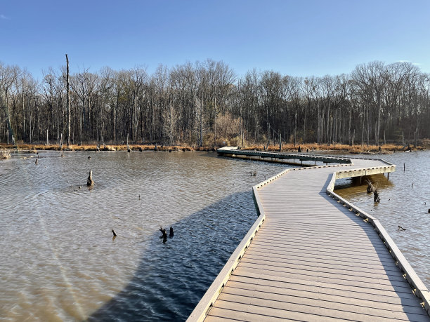 亨特利草甸州立公园-木板路图片下载