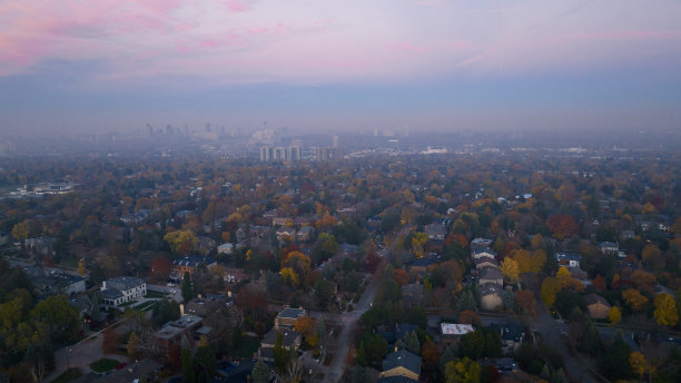多伦多的夜晚图片下载