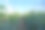 温室里未成熟的绿色番茄图片下载