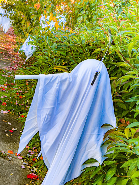 秋天的颜色图片下载