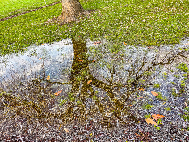 秋天的颜色图片下载