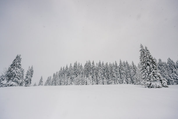 暴风雨的冬季天气图片下载