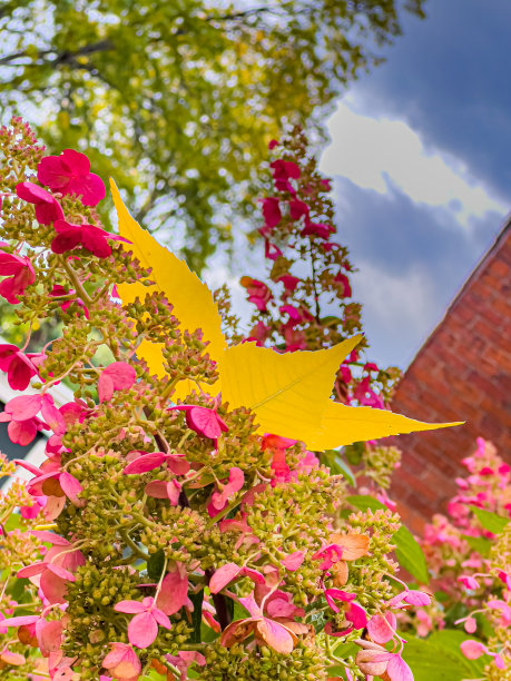 秋天的颜色图片下载