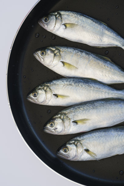 新鲜的生的未煮的蓝鱼在烤架上浅灰色的背景图片下载