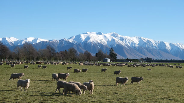 新西兰麦斯文的赫特山景色图片下载