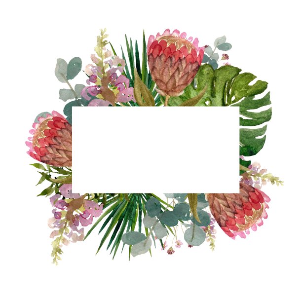 框花变形掌水彩画横图片下载