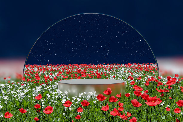 3D渲染，平台和自然平台背景花田玻璃拱门和星星在晚上的产品展台展示化妆品美容产品或护肤品图片下载