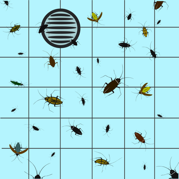 肮脏的蟑螂。害虫室内房间臭虫肮脏的昆虫卫生准确的媒介昆虫在厨房水槽背景。插图集图片下载