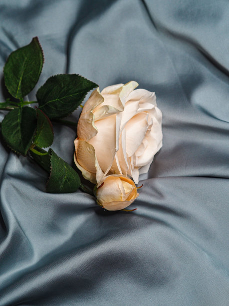 蓝色丝绸床单上的粉红玫瑰的垂直镜头图片下载