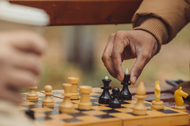 多民族的男子在秋天公园的长凳上下棋。特写照片。图片下载