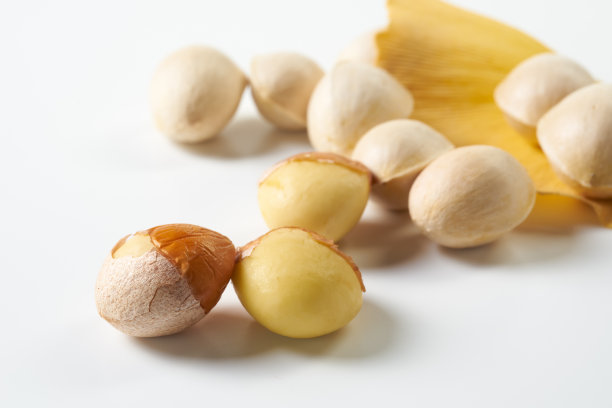 白底银杏果的图片图片下载