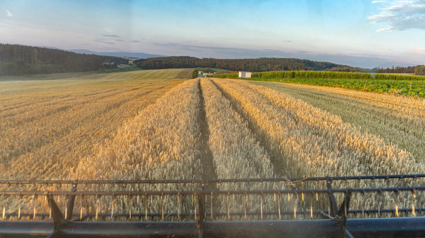 收获季节的农业麦田景观。图片下载